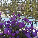 Hotel Port Deniz