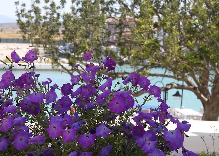 Отель Port Deniz